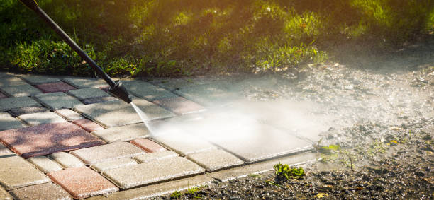 Best Solar Panel Cleaning  in Walden, NY